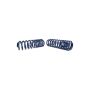 Ford Racing M-5300-L 2007-2014 Mustang Shelby GT500 Springs