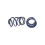 Ford Racing M-5300-PA 2005-2014 Mustang GT Track Lowering Springs