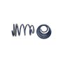 Ford Racing M-5300-PA 2005-2014 Mustang GT Track Lowering Springs