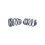 Ford Racing M-5300-PA 2005-2014 Mustang GT Track Lowering Springs