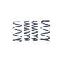 Ford Racing M-5300-RA 2013 Cobra Jet Spring Kit