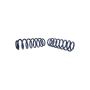 Ford Racing M-5300-RA 2013 Cobra Jet Spring Kit