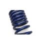 Ford Racing M-5300-S65T 2024-2025 Mustang 5.0L Track Lowering Spring Kit