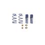 Ford Racing M-5300-T 2012-2013 Boss 302 Lowering Springs