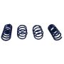 Ford Racing M-5300-W 2015-2020 Mustang GT350 Lowering Springs