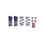 Ford Racing M-5300-XA 2015-2023 Mustang Street Lowering Spring Kit