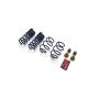 Ford Racing M-5300-XA 2015-2023 Mustang Street Lowering Spring Kit
