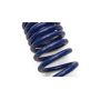 Ford Racing M-5300-XA 2015-2023 Mustang Street Lowering Spring Kit