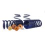 Ford Racing M-5300-YA 2015-2023 Mustang Track Lowering Spring Kit