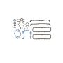 Ford Racing M-6003-A429 Hi-Performance Engine Gasket Set
