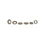 Ford Racing M-6004-54SVT 5.4L 4V Mustang SVT Camshaft Drive Kit