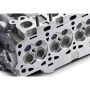 Ford Racing M-6049-M52B 5.2L 