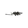 Ford Racing M-6067-M50 2015-2017 5.0L Coyote Head Changing Kit-11MM Head Bolts