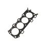 Ford Racing M-6067-M52B 5.2L 