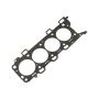 Ford Racing M-6067-M52B 5.2L 