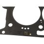 Ford Racing M-6067-M52B 5.2L 