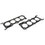 Ford Racing M-6067-T46 4.6L 4V DOHC Head Changing Kit