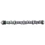 Ford Racing M-6250-B303 Small Block V-8 Hydraulic Roller Tappet Camshafts