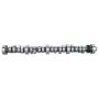Ford Racing M-6250-B303 Small Block V-8 Hydraulic Roller Tappet Camshafts