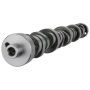 Ford Racing M-6250-B303 Small Block V-8 Hydraulic Roller Tappet Camshafts
