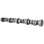 Ford Racing M-6250-B303 Small Block V-8 Hydraulic Roller Tappet Camshafts
