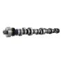 Ford Racing M-6250-F303 Small Block V-8 Hydraulic Roller Tappet Camshafts