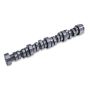 Ford Racing M-6250-SD73A 7.3L Megazilla Hi-Performance Camshaft