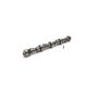 Ford Racing M-6250-X303 Small Block V-8 Hydraulic Roller Tappet Camshafts