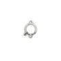 Ford Racing M-6269-A302 302-351W Camshaft Thrust Plate
