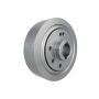 Ford Racing M-6316-A521 Crankshaft Damper