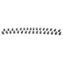 Ford Racing M-6500-M50 5.0L Coyote Lash Adjuster Assembly Kit