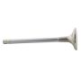 Ford Racing M-6505-B304 Exhaust Valve 302/351W