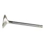 Ford Racing M-6505-B304 Exhaust Valve 302/351W
