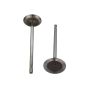 Ford Racing M-6507-M52 Intake Valve Light Weight 5.2L Coyote-Qty 8