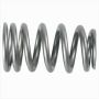 Ford Racing M-6513-1219X Pac 1219X Beehive Valve Spring Set of (16)