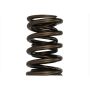Ford Racing M-6513-17341 TVS-1734 Valve Spring (1)