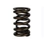 Ford Racing M-6513-17341 TVS-1734 Valve Spring (1)