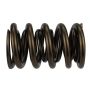 Ford Racing M-6513-17341 TVS-1734 Valve Spring (1)