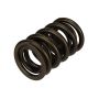 Ford Racing M-6513-17341 TVS-1734 Valve Spring (1)