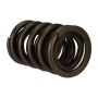 Ford Racing M-6513-17341 TVS-1734 Valve Spring (1)