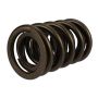 Ford Racing M-6513-17341 TVS-1734 Valve Spring (1)