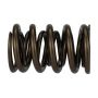 Ford Racing M-6513-17341 TVS-1734 Valve Spring (1)