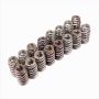 Ford Racing M-6513-M50BR Boss 302R Valve Spring Kit