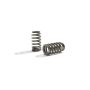 Ford Racing M-6513-M50BR Boss 302R Valve Spring Kit