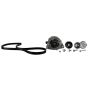 Ford Racing M-8600-M50BALT Mustang Boss 302 Alternator Kit