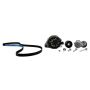 Ford Racing M-8600-M50BALT Mustang Boss 302 Alternator Kit