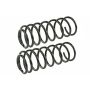 MEVOTECH SMS206V Coil Spring Set
