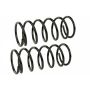 MEVOTECH SMS2225 Coil Spring Set