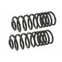 MEVOTECH SMS225V Coil Spring Set