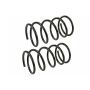 MEVOTECH SMS2274 Coil Spring Set